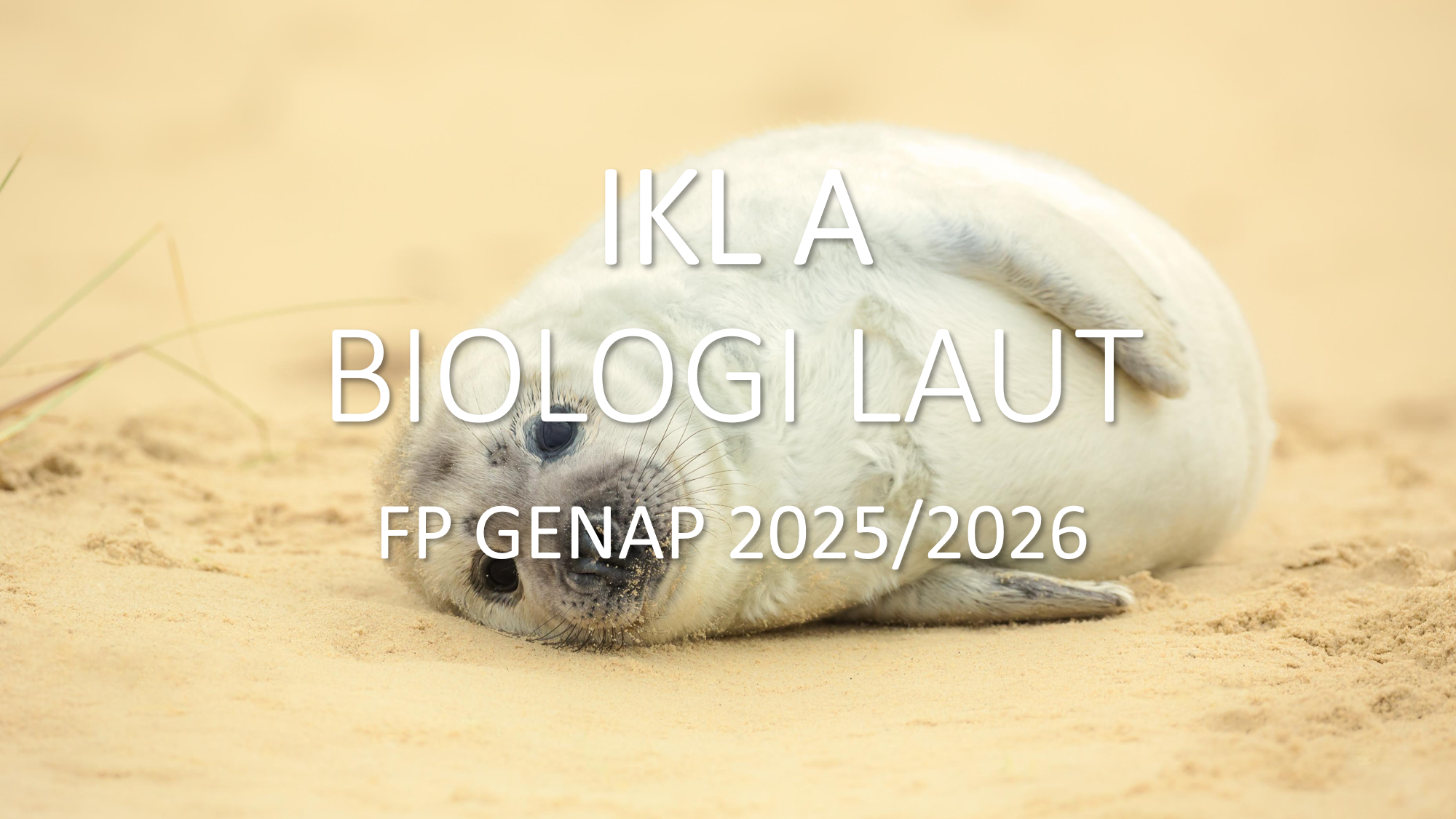 IKL A-BIOLOGI LAUT