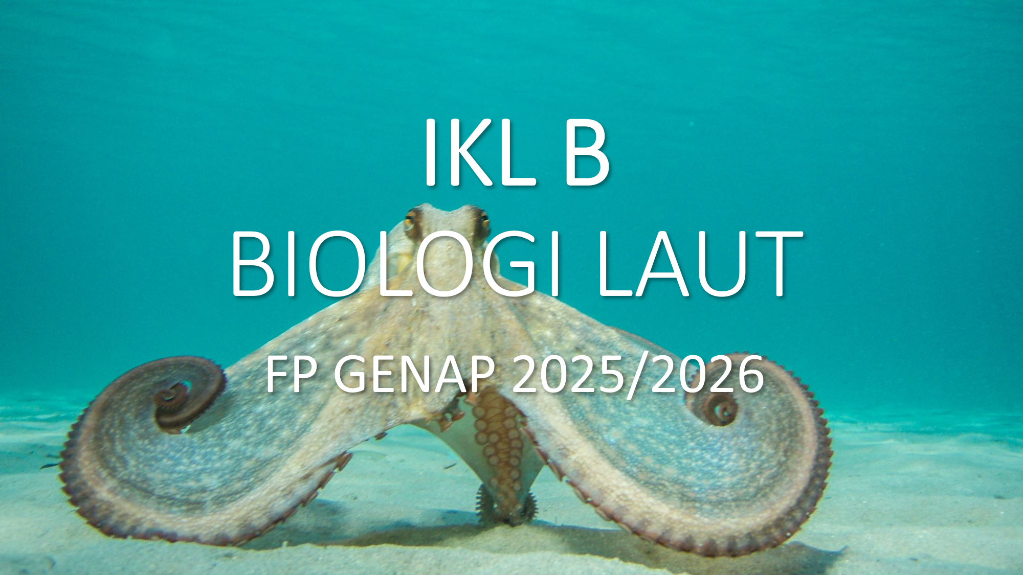 IKL B-BIOLOGI LAUT