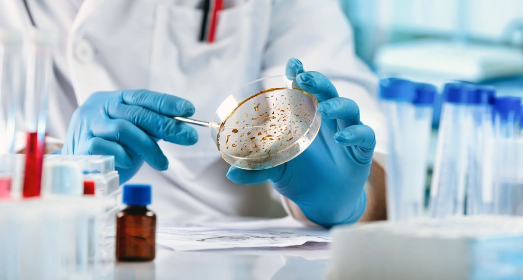 Mikrobiologi Medik B (2025/2026)