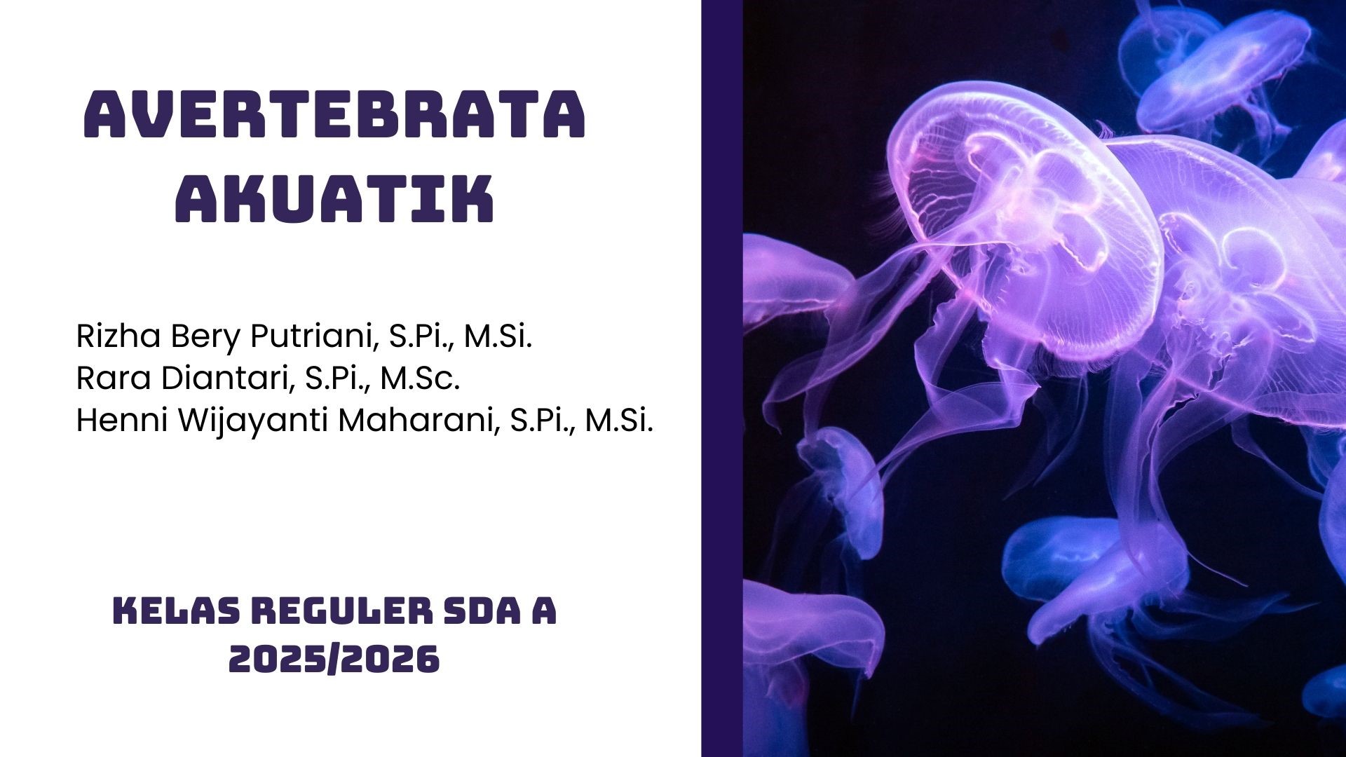 Avertebrata Akuatik SDA A