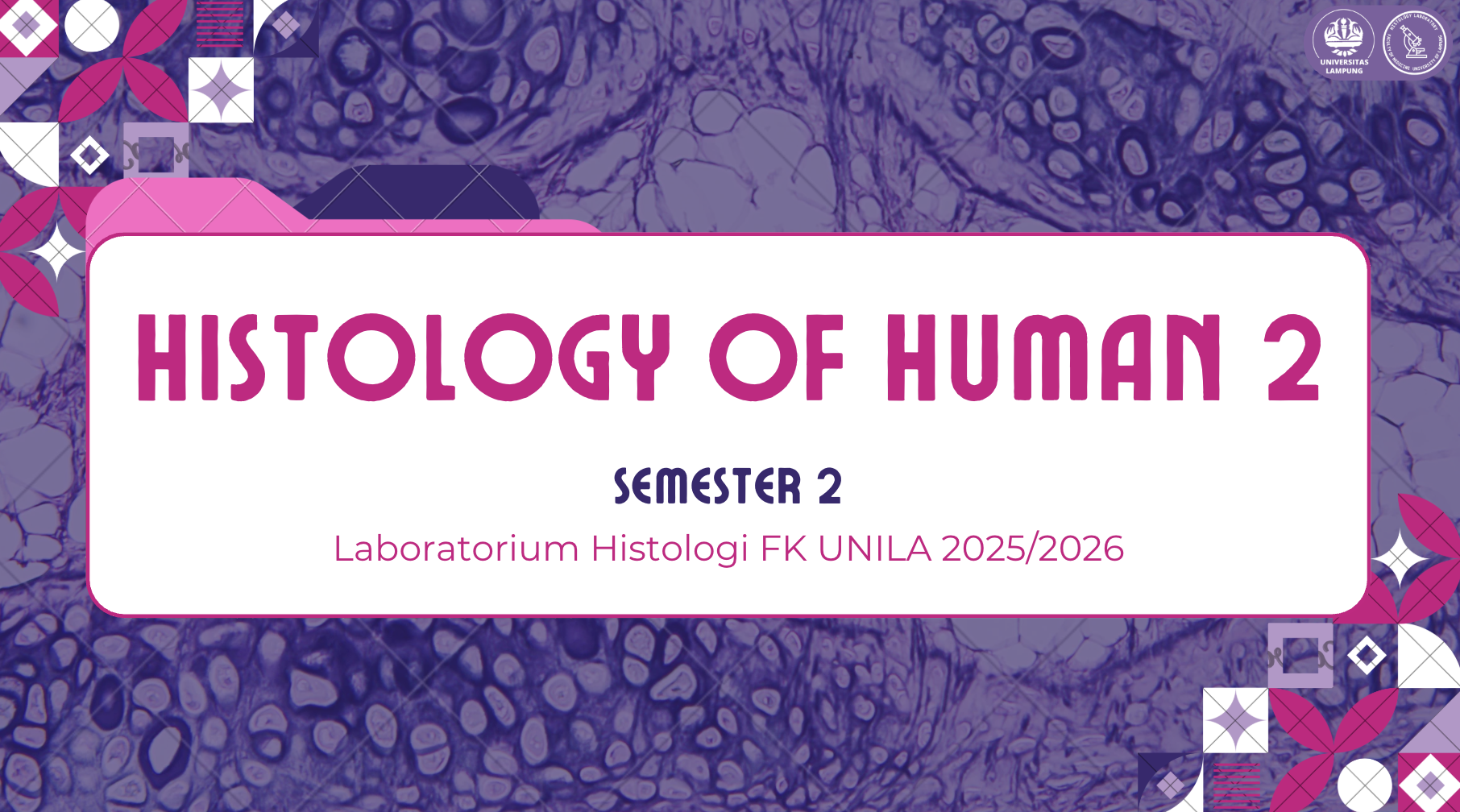 Histology of Human 2