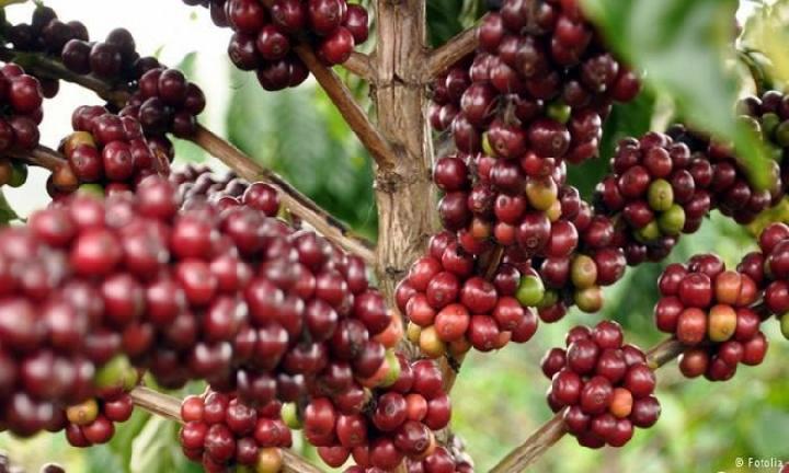 KLIMATOLOGI PERTANIAN PPN GNP 2025-2026