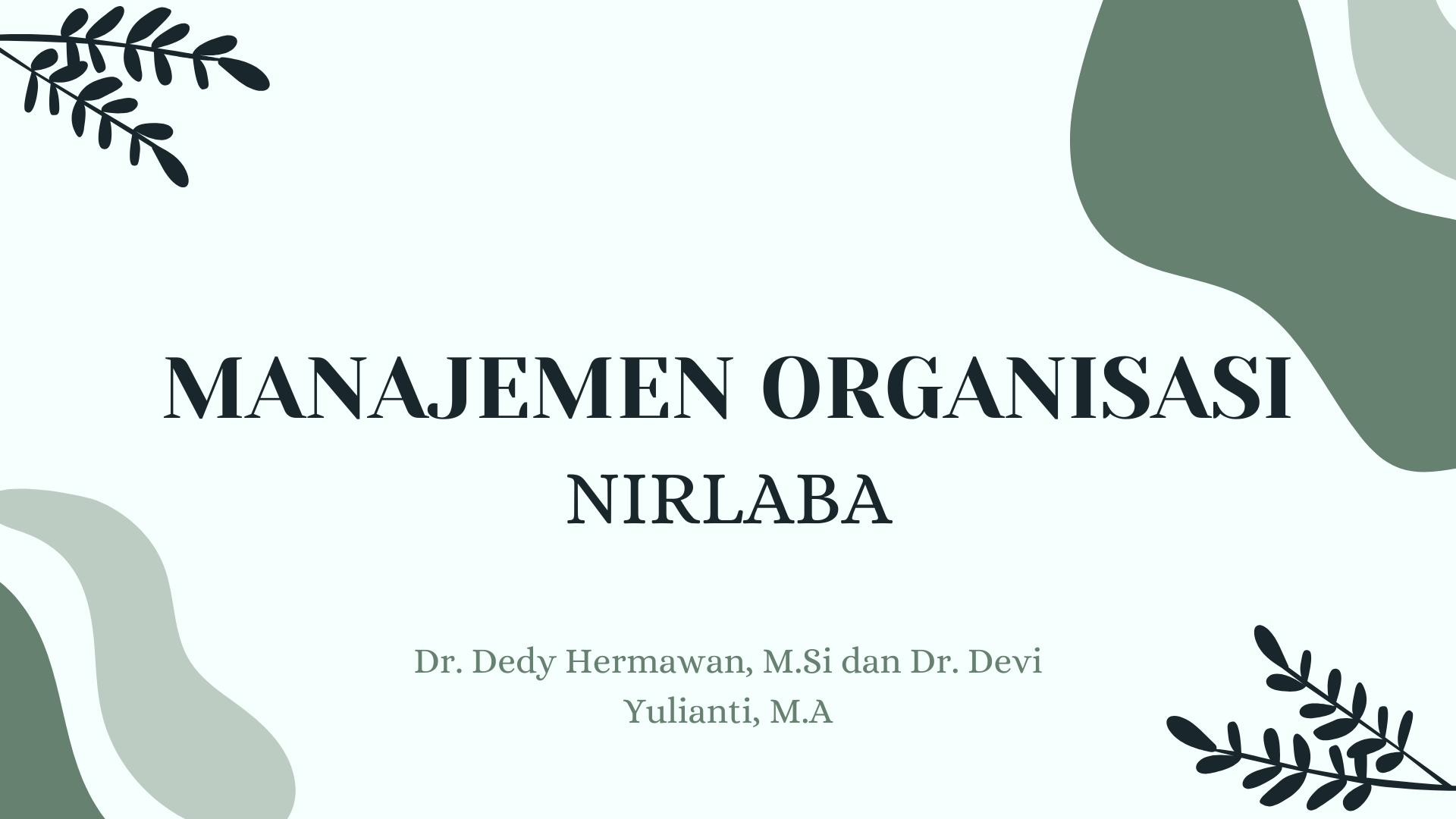 Manajemen Organisasi Nirlaba