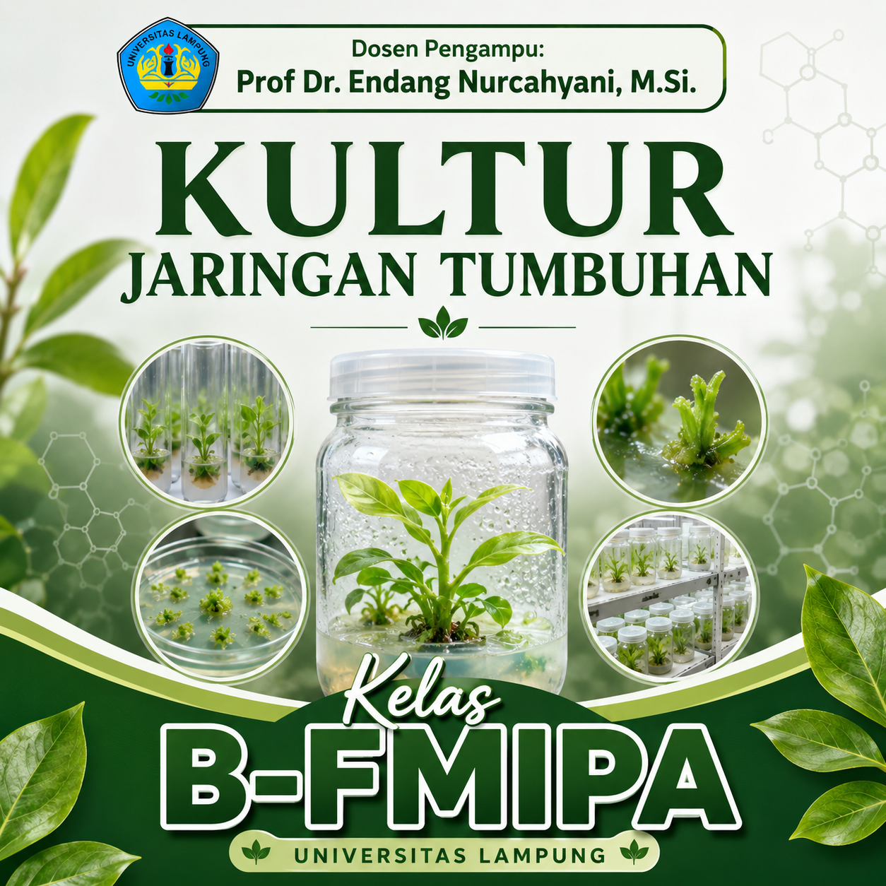 B-SMT GENAP_2025.2026_KULTUR JARINGAN TUMBUHAN