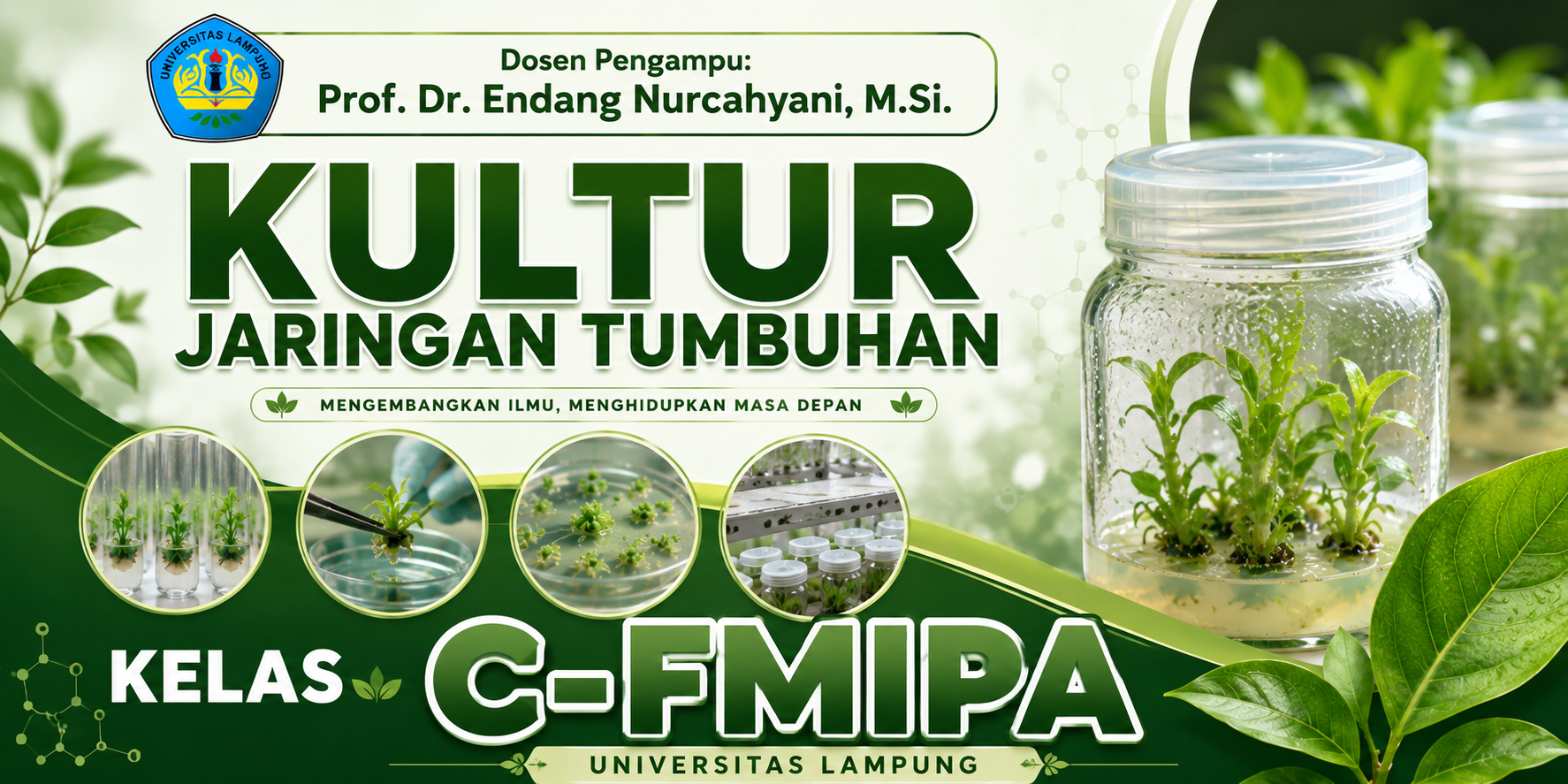 C_SMT GENAP_2025.2026_KULTUR JARINGAN TUMBUHAN