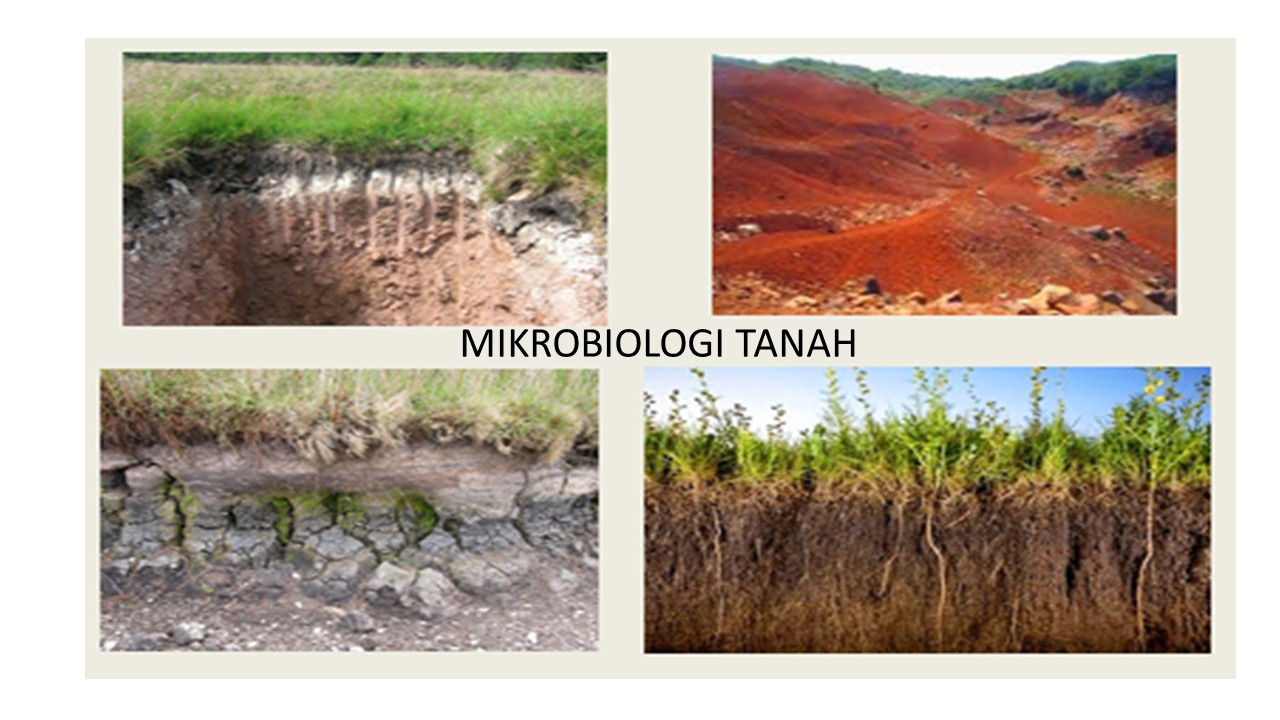 PSBIO Mikrobiologi Tanah Genap 2020/2021