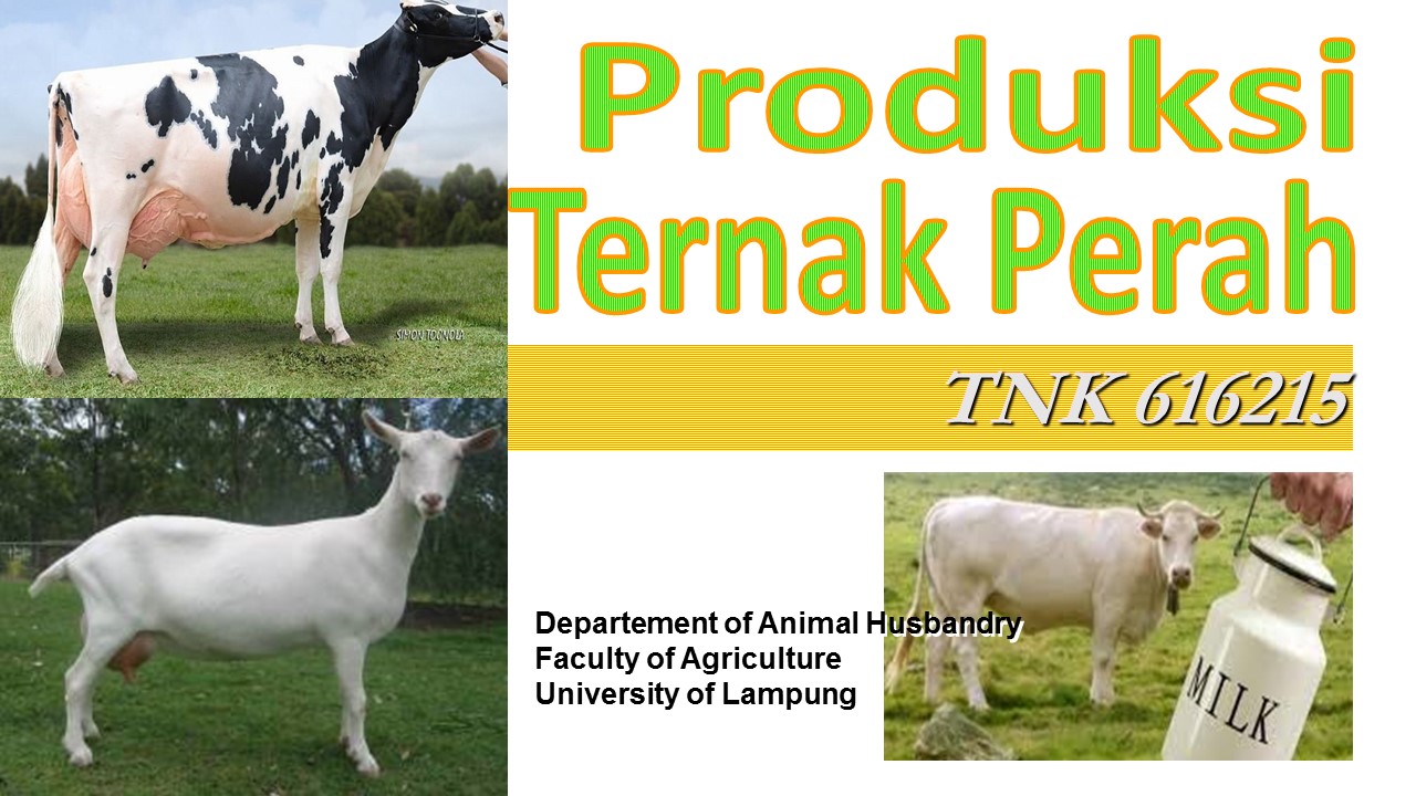 Produksi Ternak Perah Kelas NTP