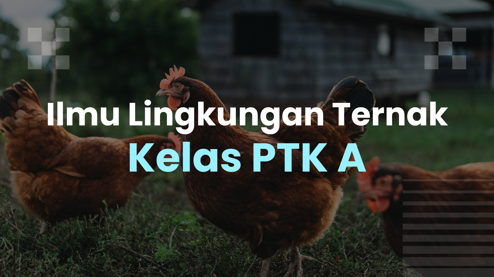 Ilmu Lingkungan Ternak PTK A 2026