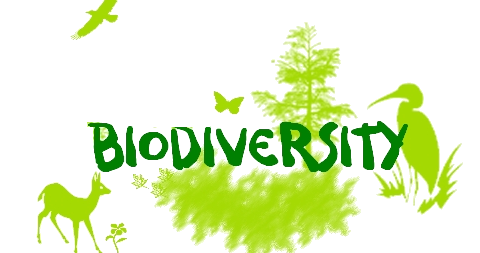 Perkuliahan Biodiversitas PSPB  (A) 2021