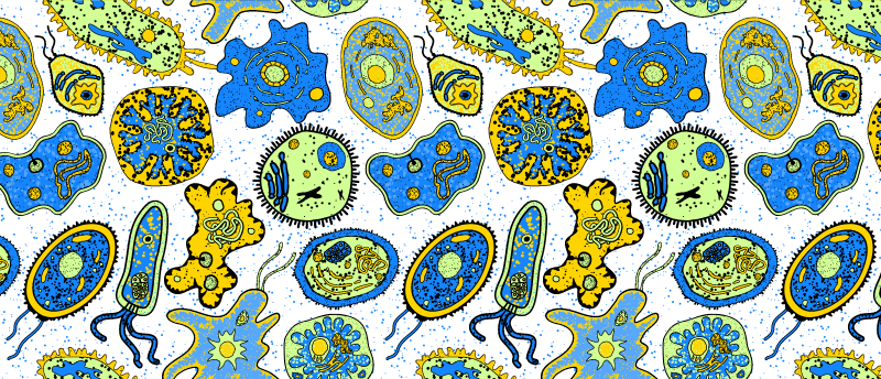 2026 Mikrobiologi_Bio_C/ 2026