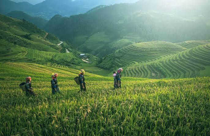 HUKUM AGRARIA (2025)