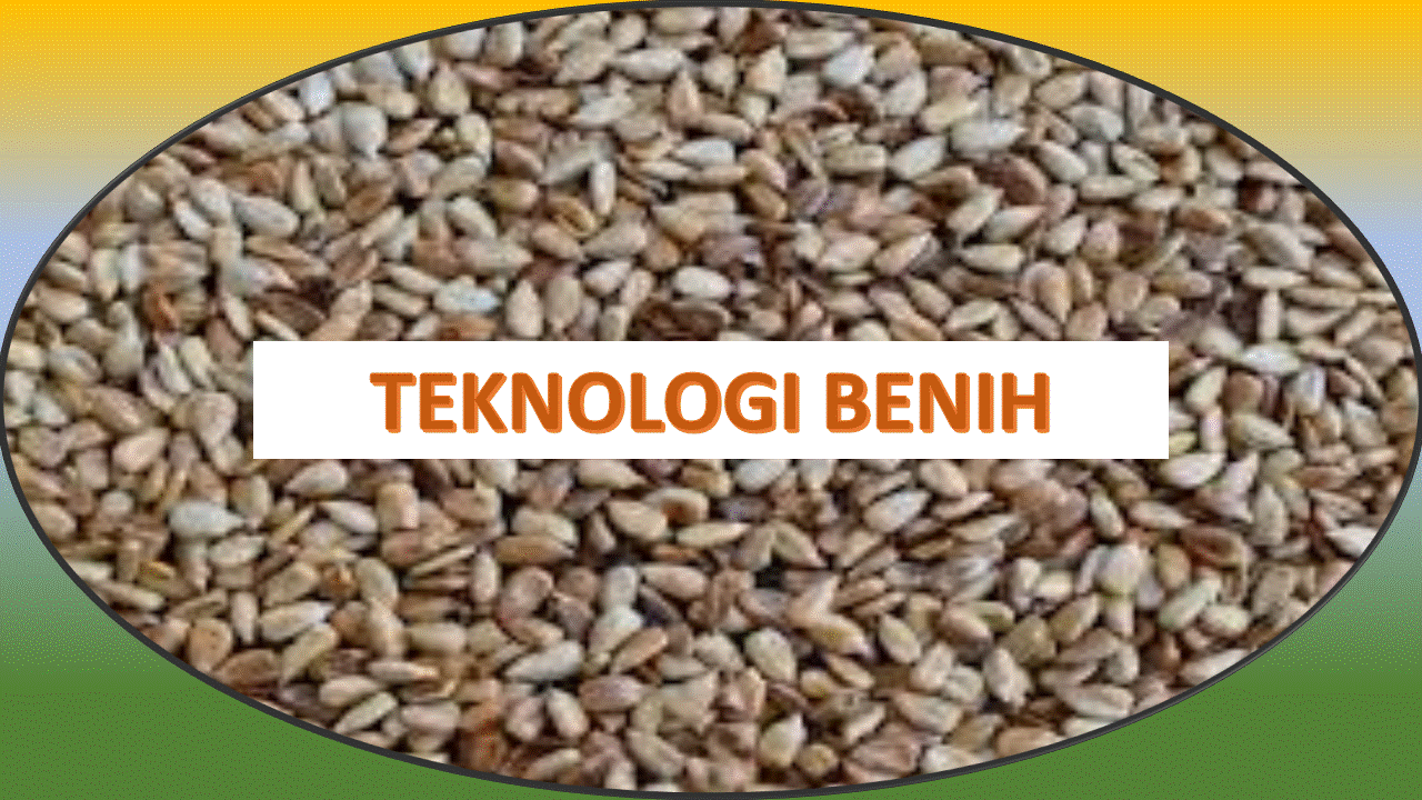Teknologi Benih Jurusan AGH Kelas B