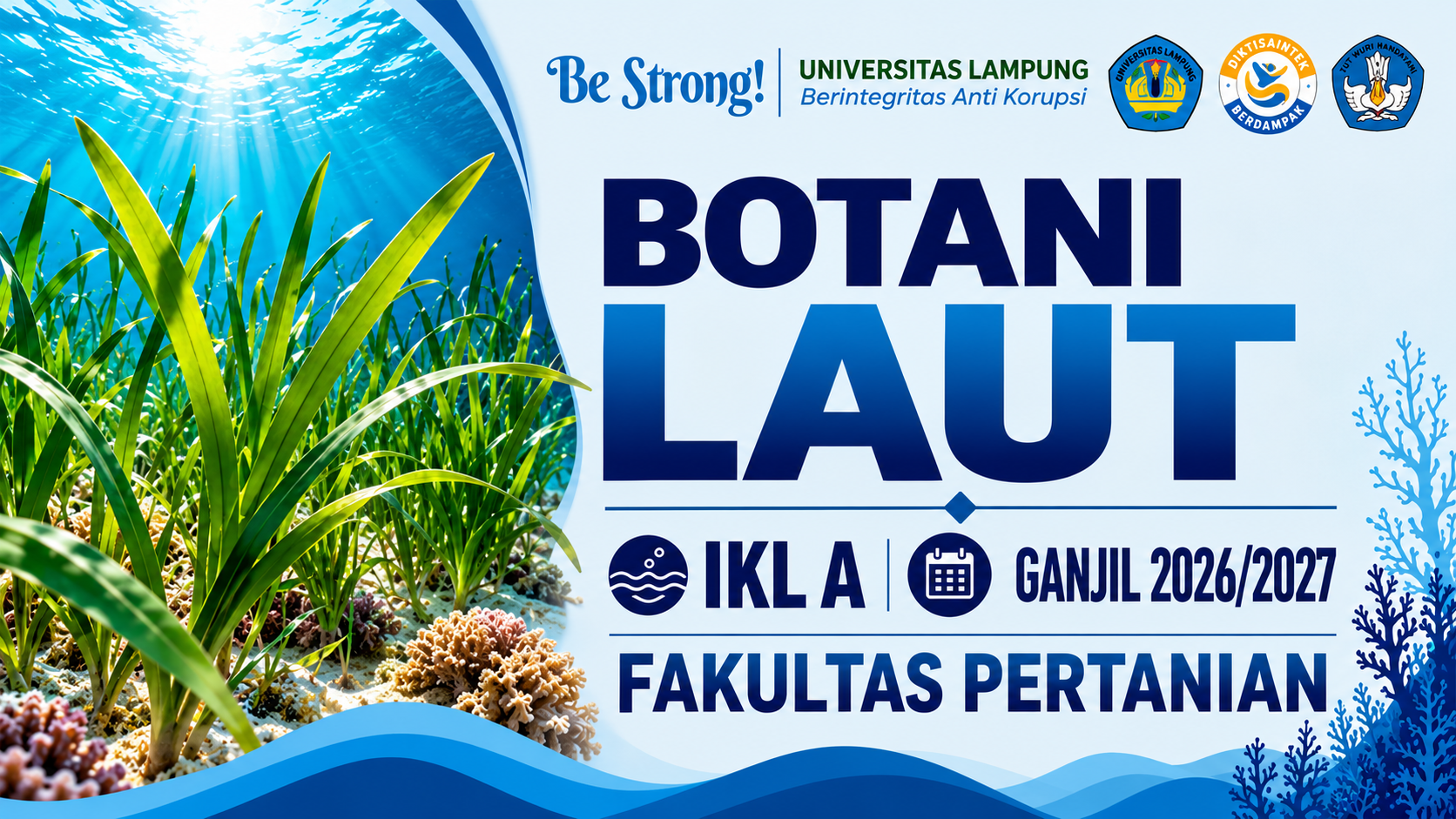 BOTANI LAUT A