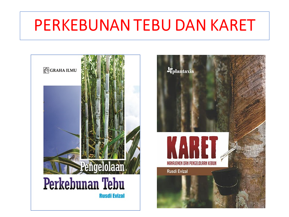 Perkebunan Tebu dan Karet