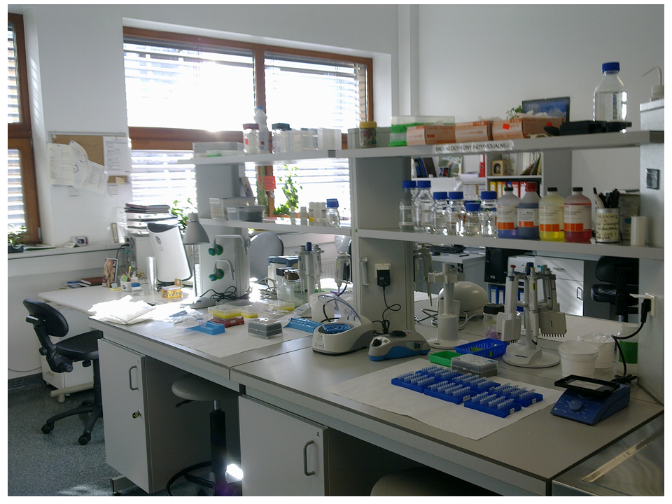 Manajemen Laboratorium S1-A