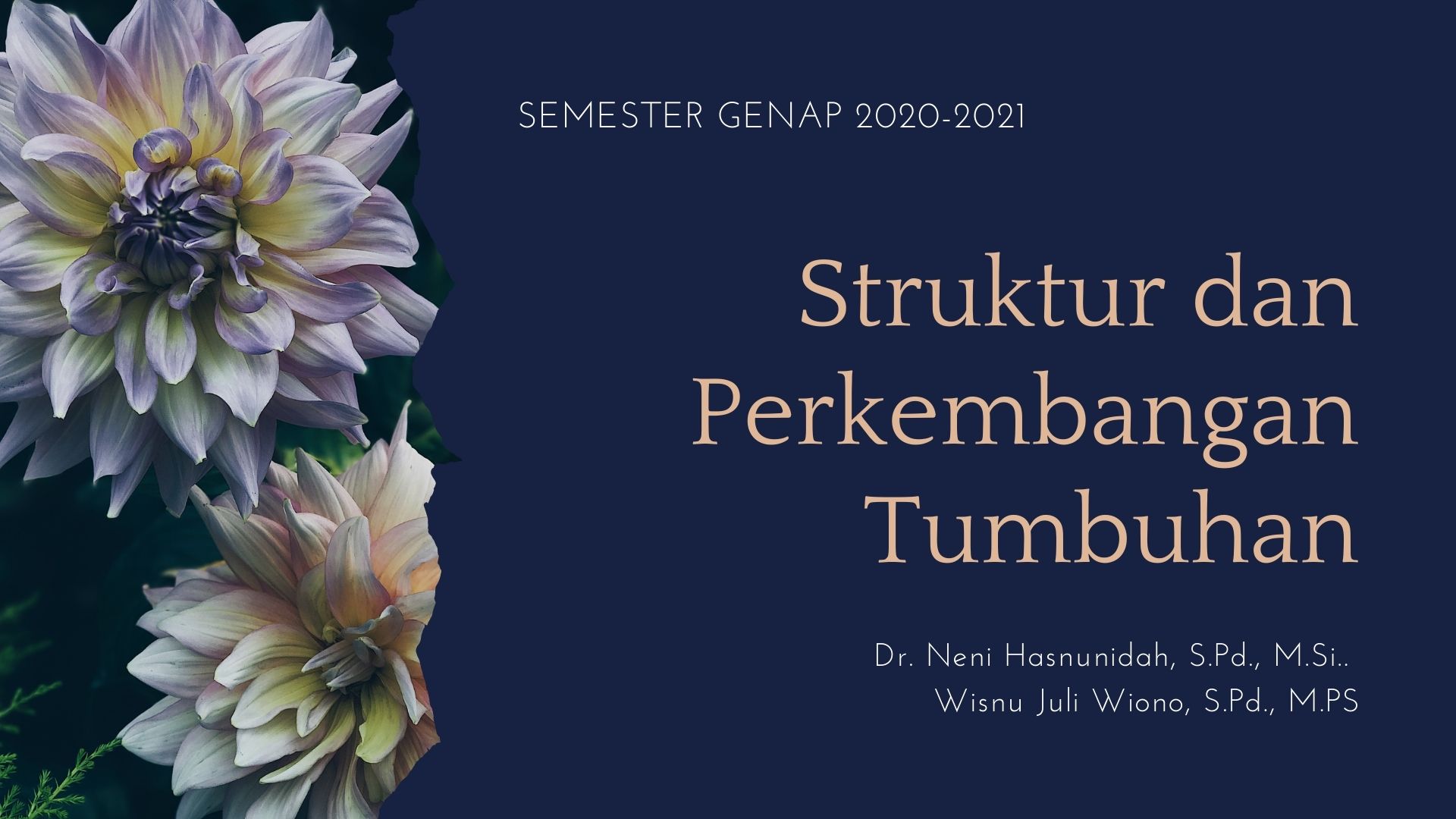 Struktur dan Perkembangan Tumbuhan Genap 2020-2021 (B) 