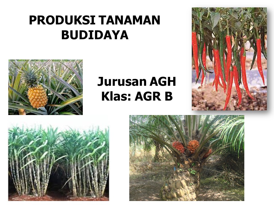 Produksi Tanaman Budidaya-AGR-Kukuh