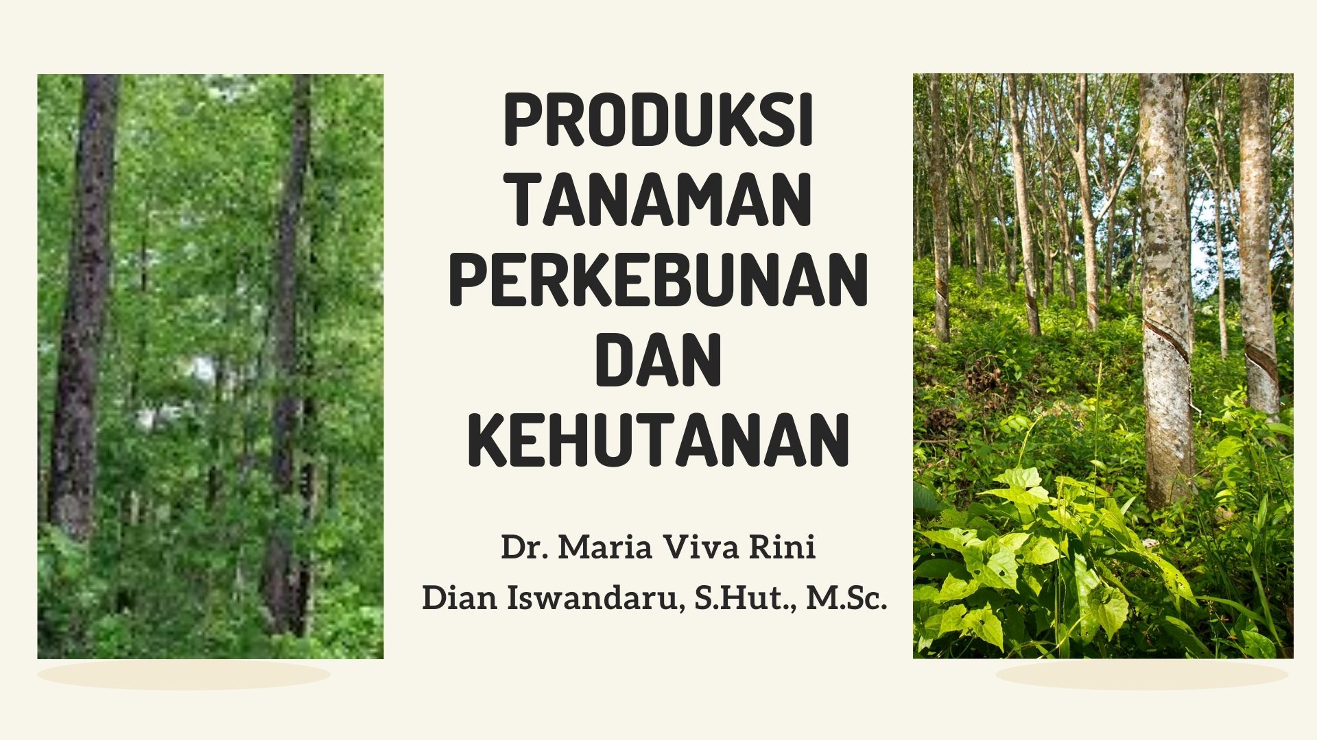 PRODUKSI TANAMAN PERKEBUNAN DAN KEHUTANAN -FPU616302 