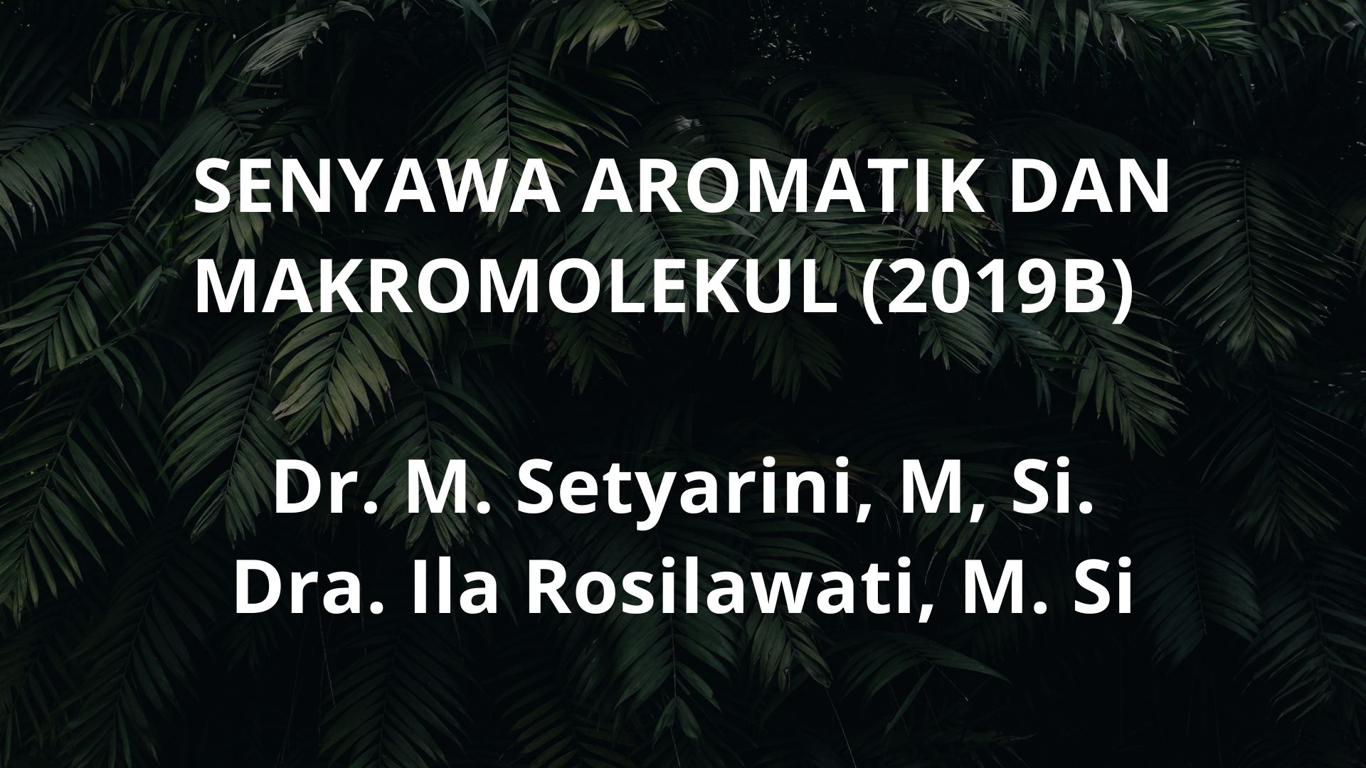 Senyawa Aromatik dan Makromolekul (2019B)