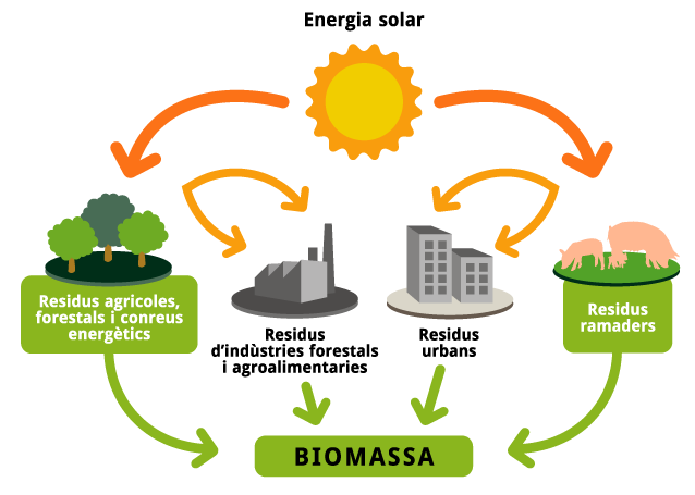Energi Biomassa Kelas B21