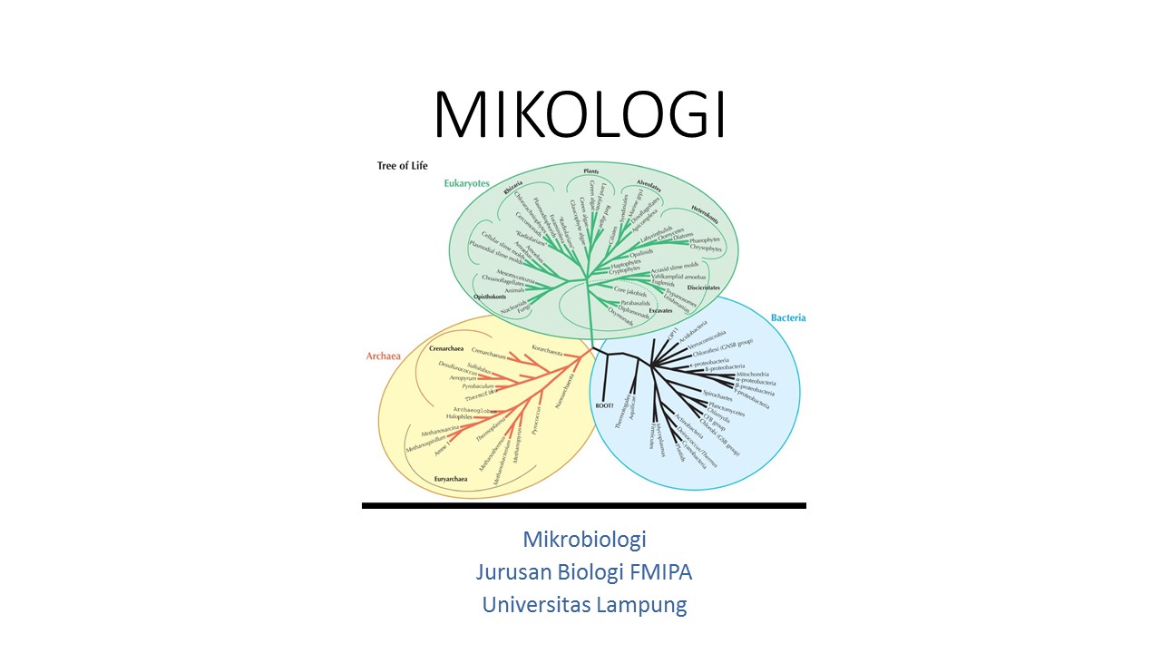Mikologi 2021