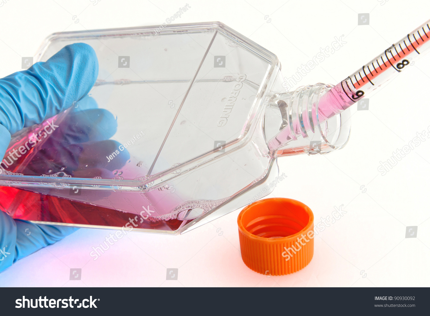 Teknik Kultur In Vitro Hewan 2021