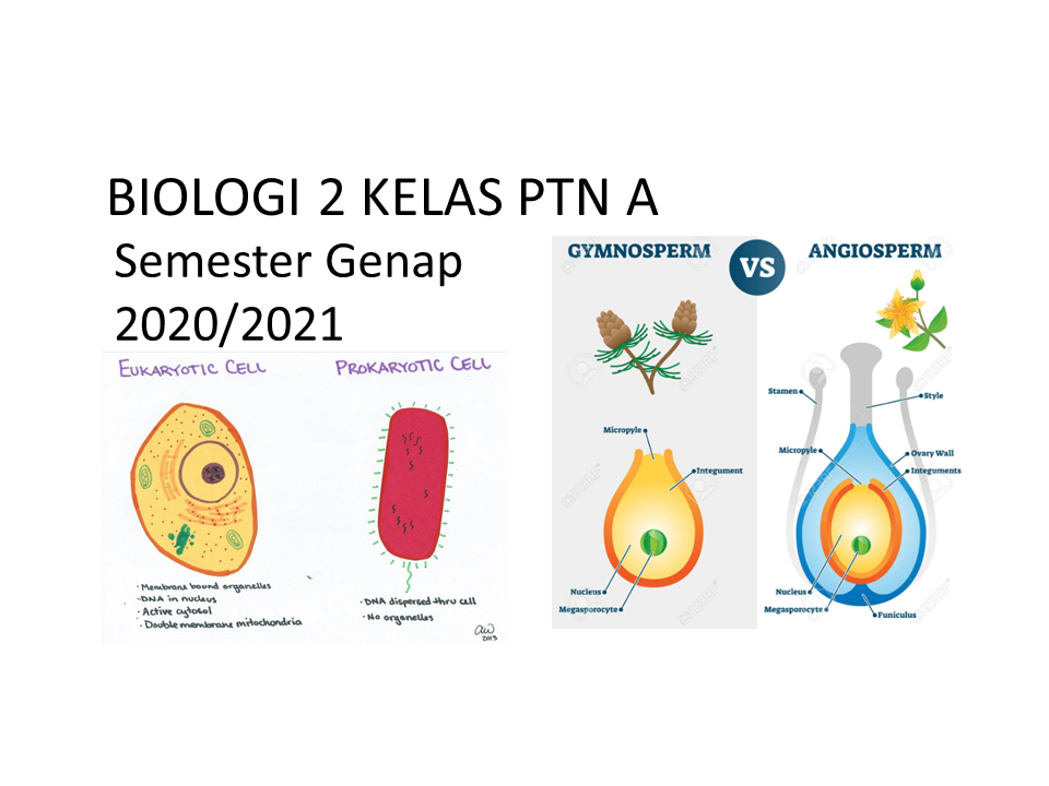 Biologi 2 PTN A SM Genap 2020/2021