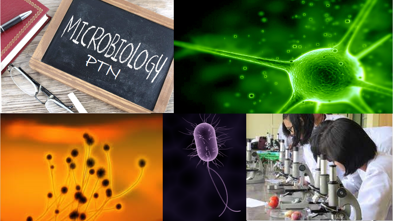 MIKROBIOLOGI UMUM KELAS PTN 2021