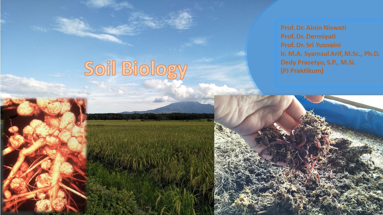 BIOLOGI TANAH