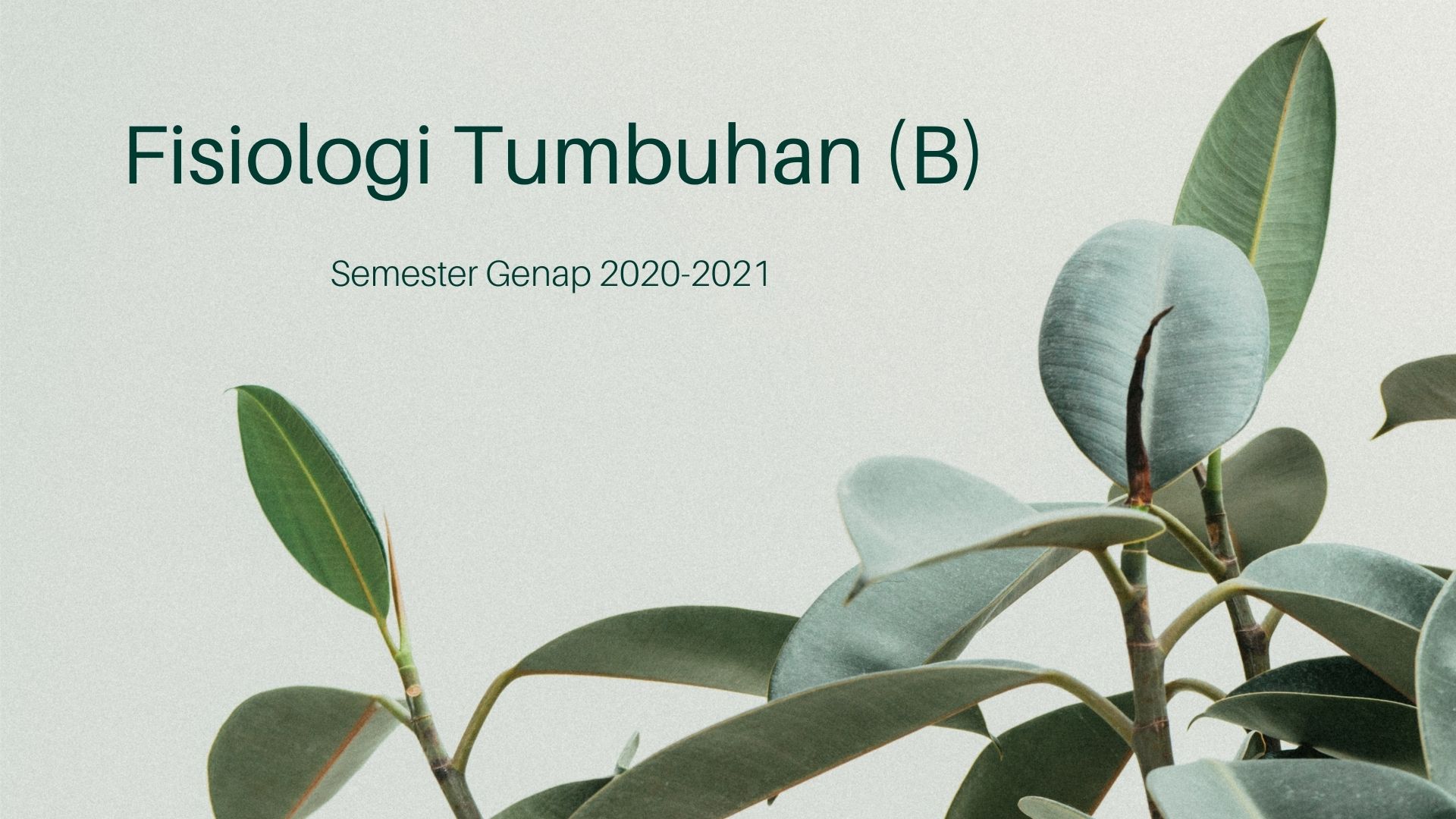 Fisiologi Tumbuhan Genap 2020-2021 (B)
