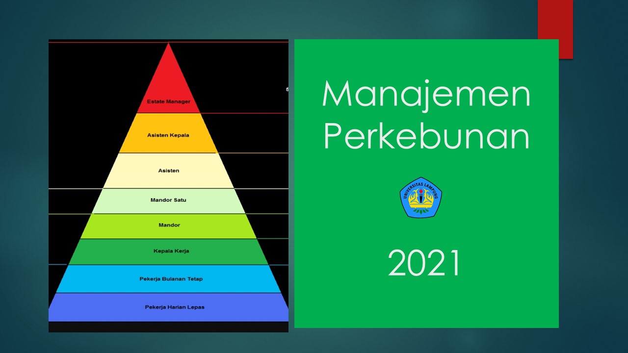 MANAJEMEN PERKEBUNAN