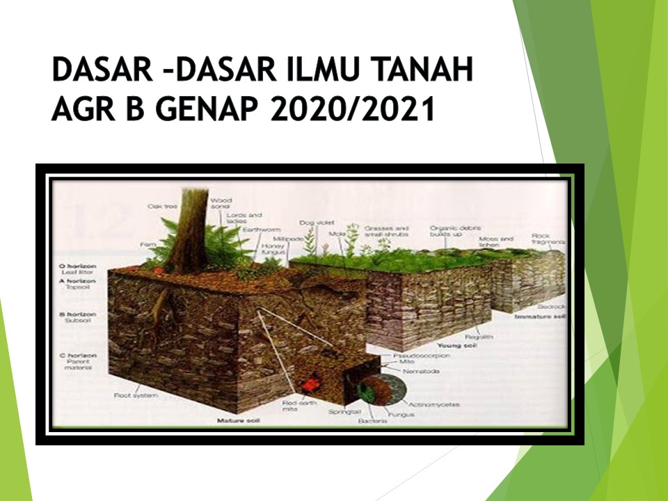 Dasar-Dasar Ilmu Tanah Kelas AGR B