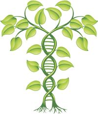 Pengantar Genetika Proteksi Tanaman