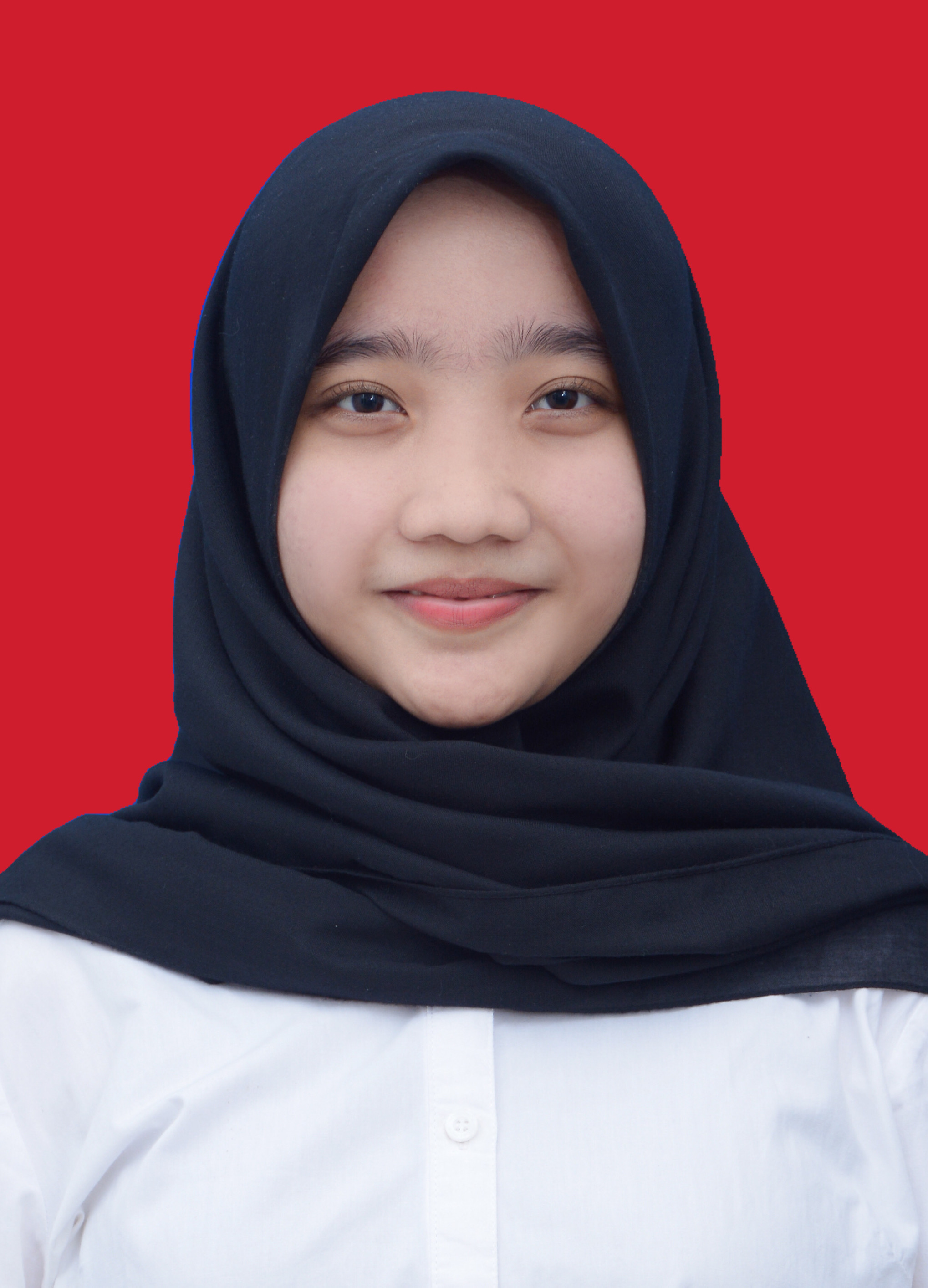 Attachment FotoFormalFix.JPEG