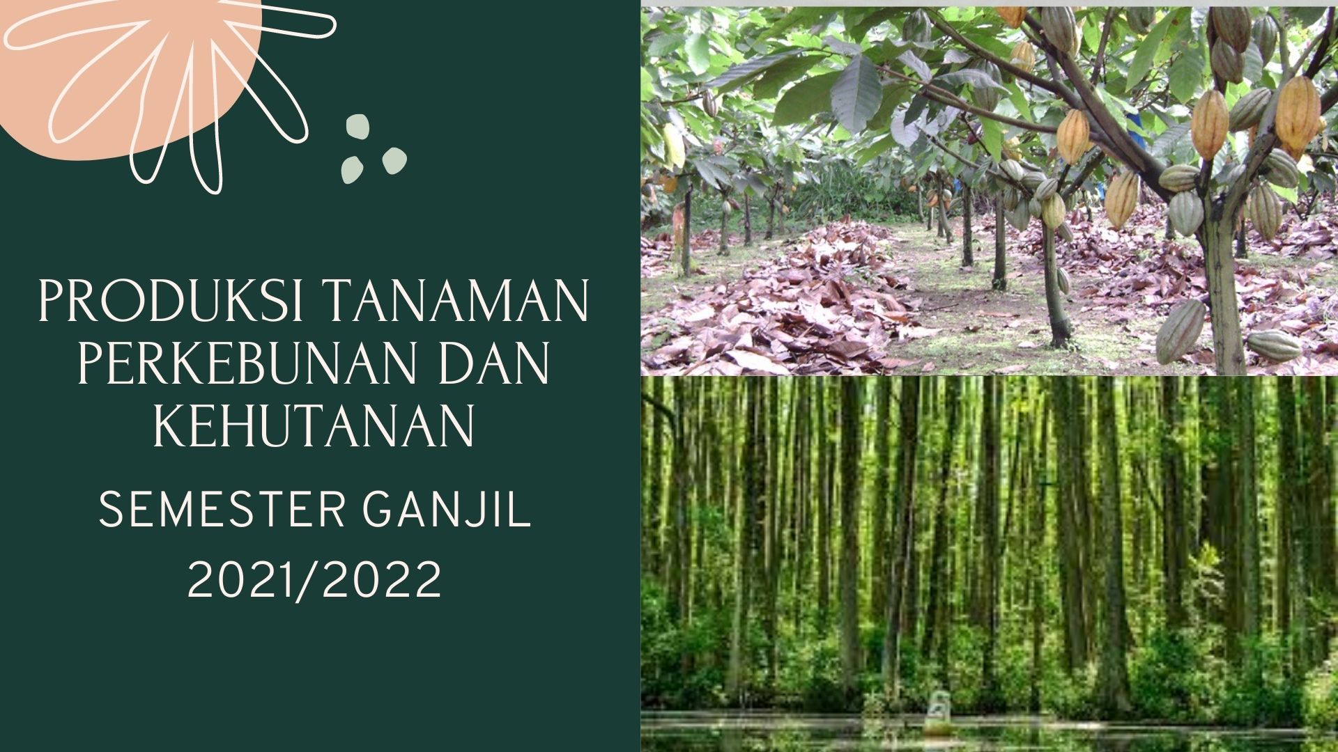 PRODUKSI TANAMAN PERKEBUNAN DAN KEHUTANAN SEMESTER GANJIL 2021/2022