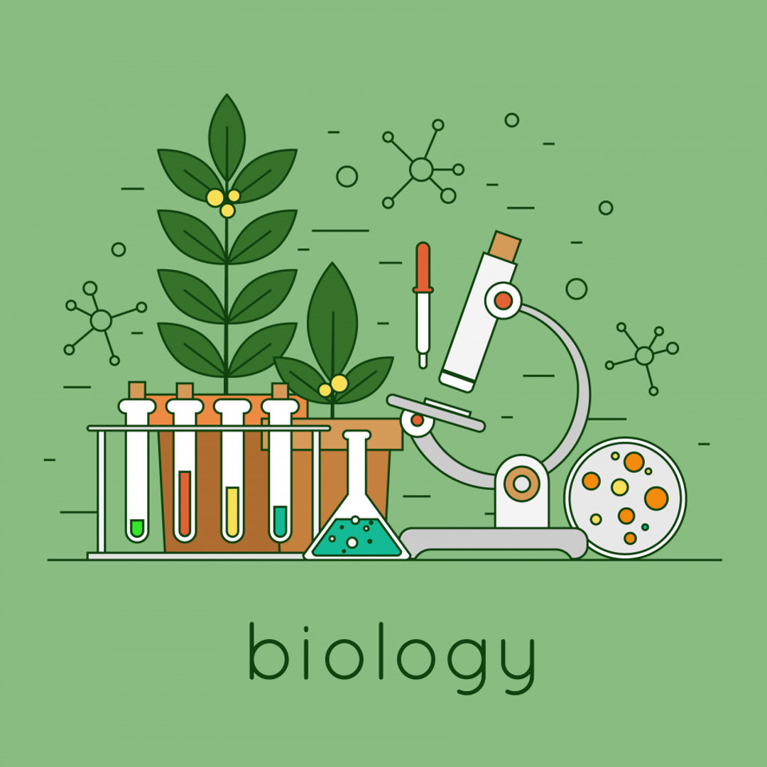 BIOLOGI DASAR PENDIDIKAN KIMIA Kelas A 2021/2022