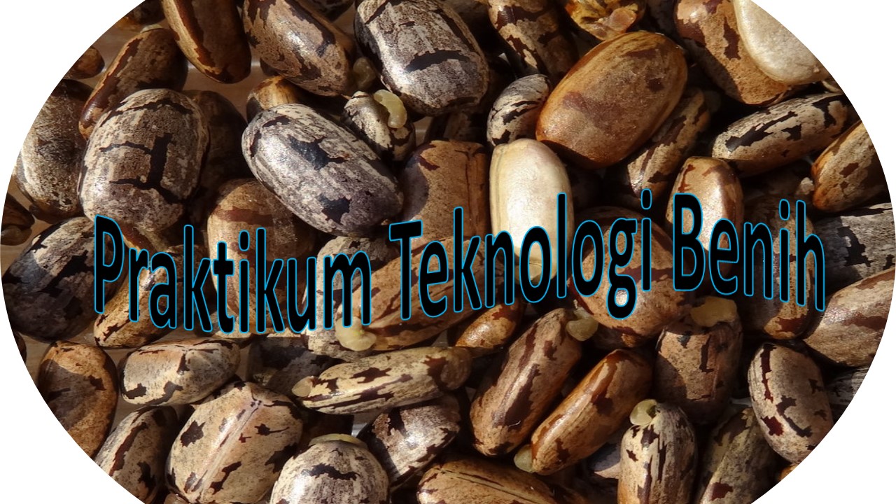 Praktikum Teknologi Benih AGR Kel;as B