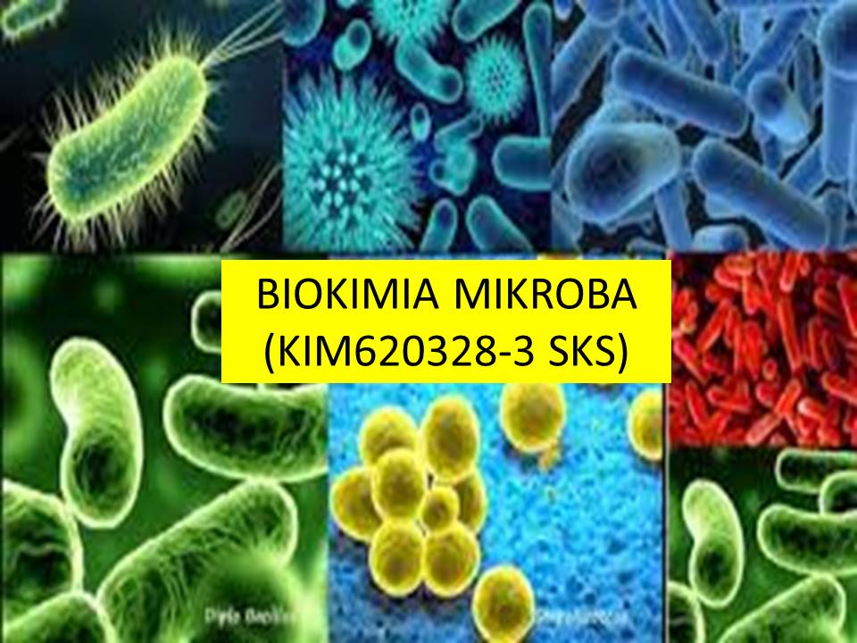 S1_Kimia_Biokimia Mikroba_Ganjil_2021/2022