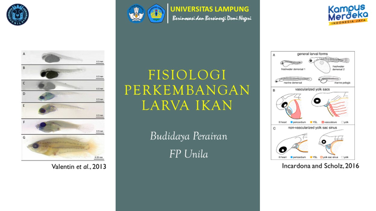 PS BDI Fisiologi Perkembangan Larva Ikan Ganjil 2021/2022
