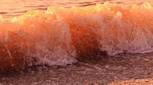 GELOMBANG_KELAS(A)_GANJIL_2021/2022