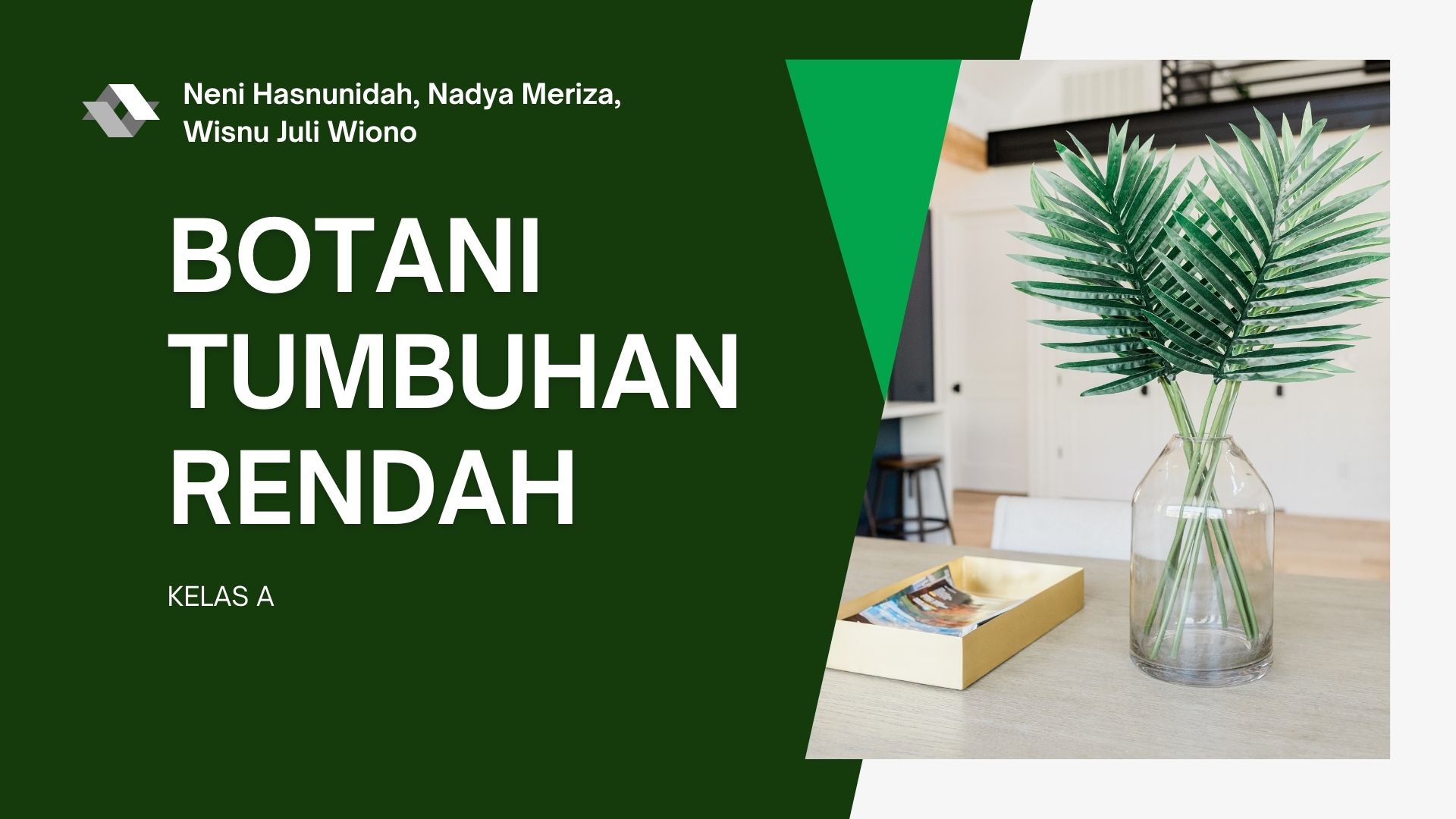 Botani Tumbuhan Rendah Kelas A