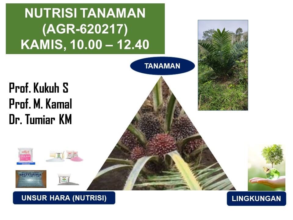 NUTRISI TANAMAN