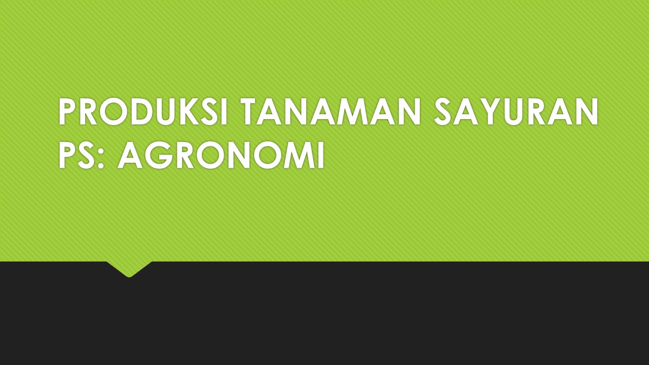 PSAGH_Produksi Tanaman Sayuran_Kelas AGH_Ganjil_2021/2022