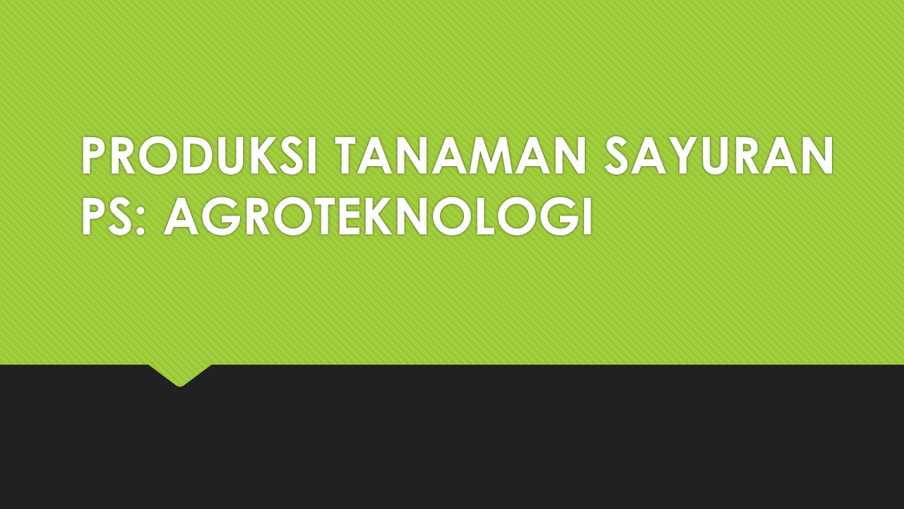 PSAGR_Produksi Tanaman Sayuran_Kelas AGROTEK_Ganjil_2021/2022