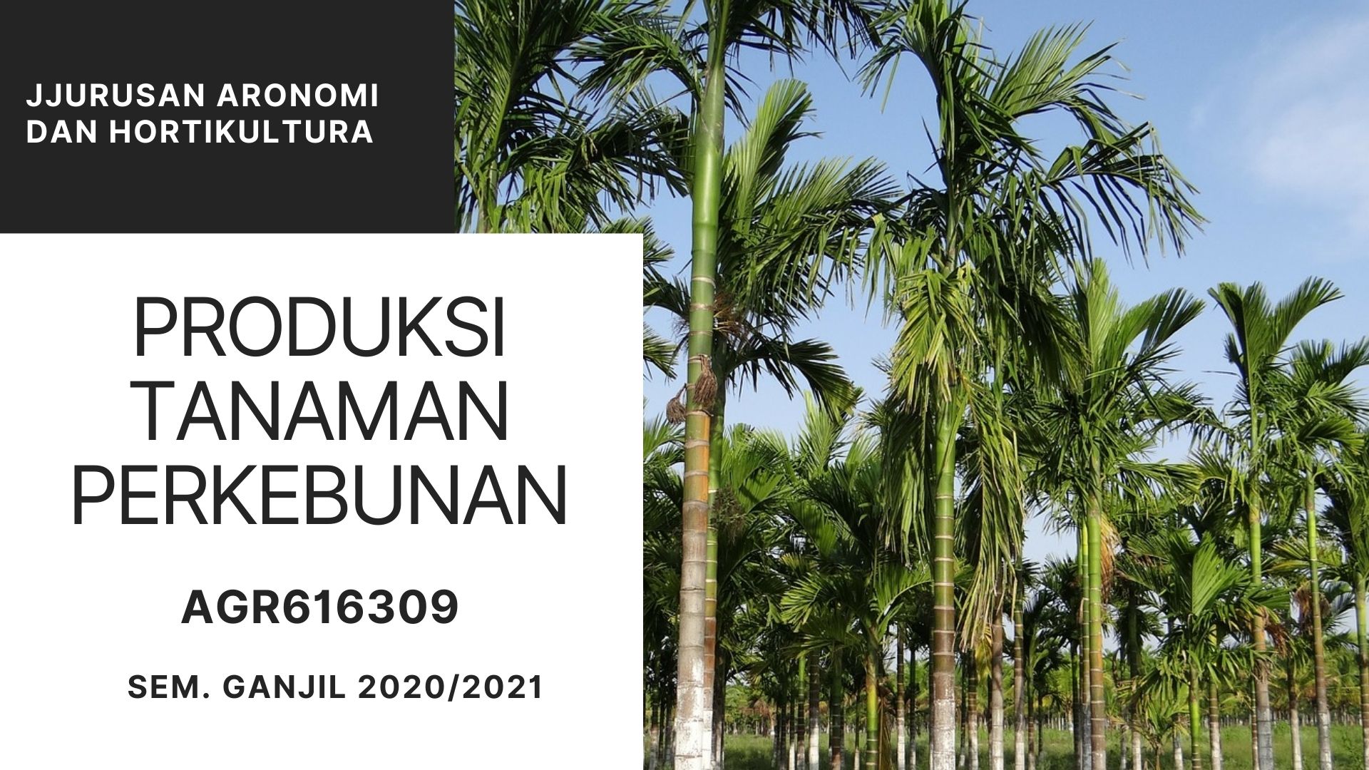 PRODUKSI TANAMAN PERKEBUNAN KELAS AGR GANJIL 2021/2022