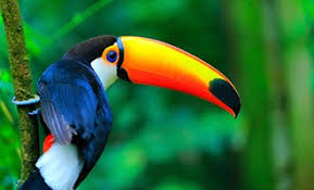 STRUKTUR DAN PERKEMBANGAN THN 2021/2022