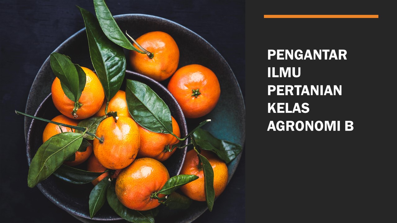 PSAGR_PENGANTAR ILMU PERTANIAN_Kelas B_Ganjil_2021/2022