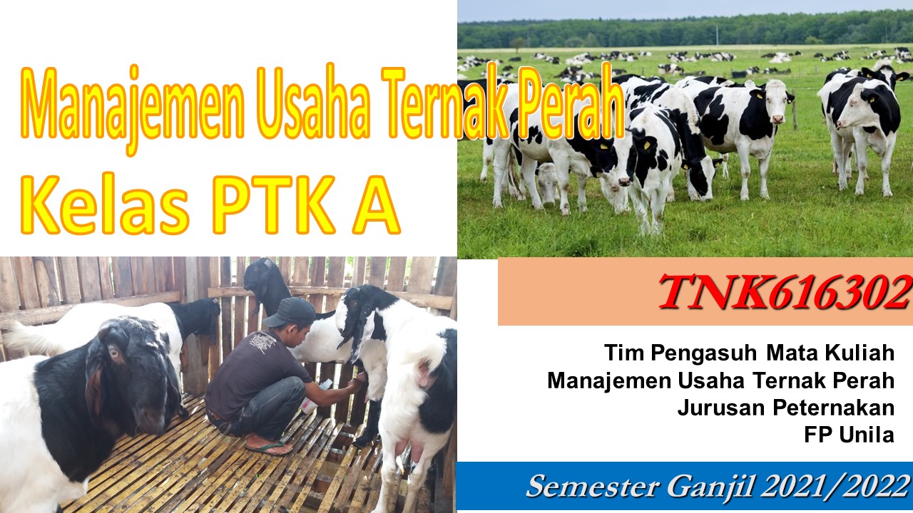 2021 Manajemen Usaha Ternak Perah PTK A