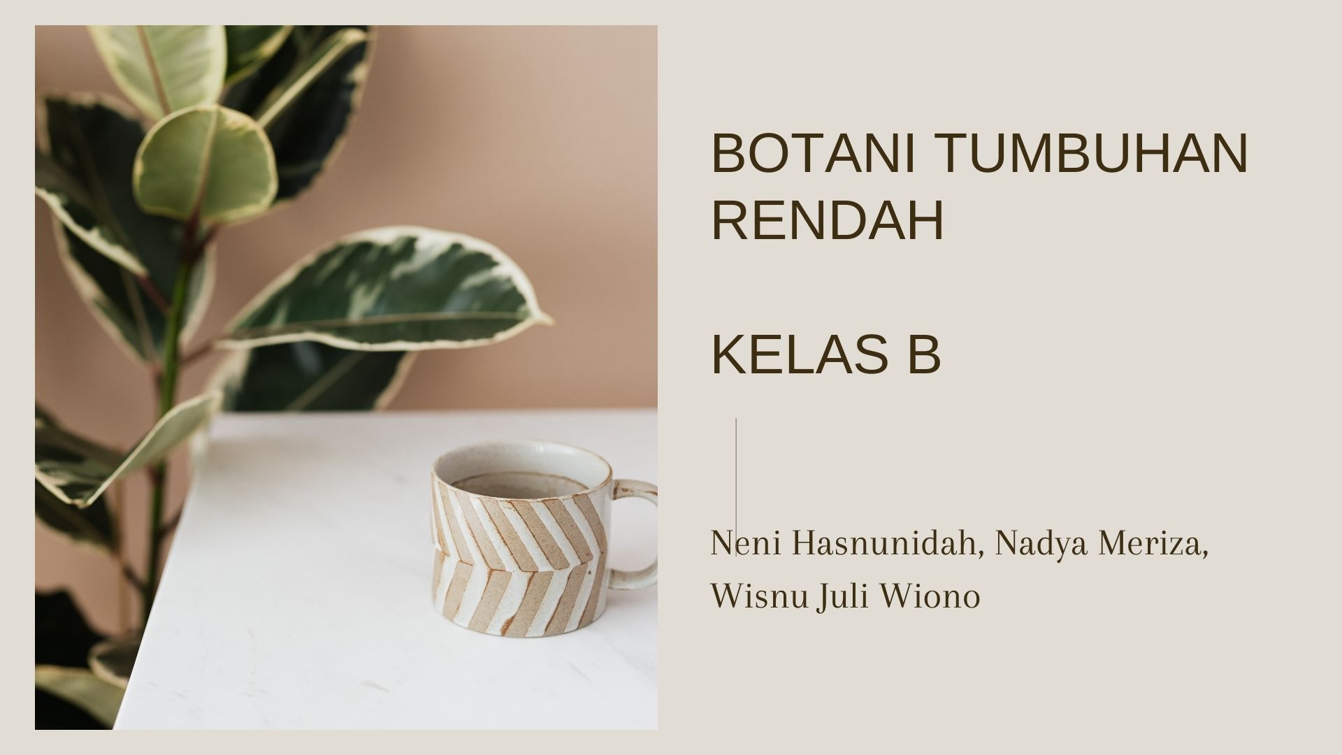 Botani Tumbuhan Rendah Kelas B