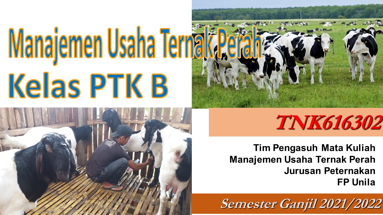 2021 Manajemen Usaha Ternak Perah Kelas PTK B